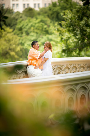 Bronx, New York Engagement Photographer Portfolio