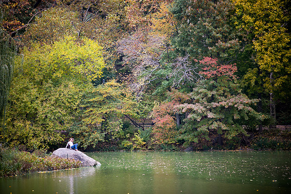 Bronx, New York Engagement Photographer Portfolio