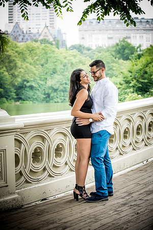 Bronx, New York Engagement Photographer Portfolio