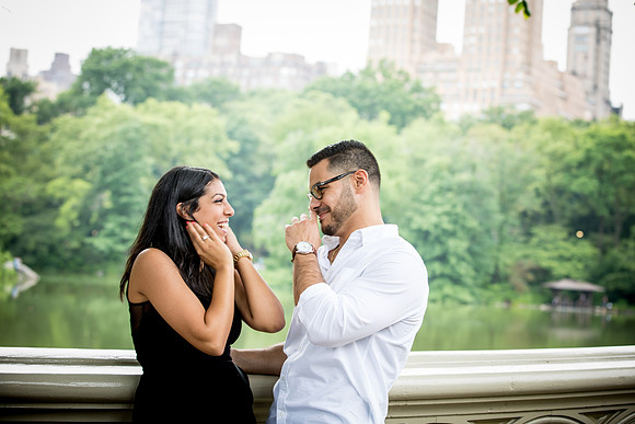 Bronx, New York Engagement Photographer Portfolio