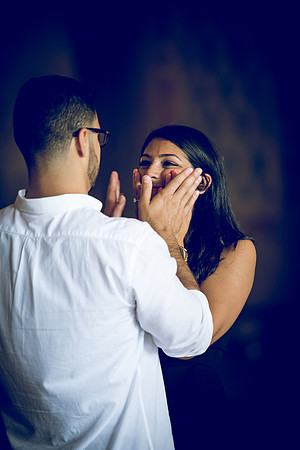 Bronx, New York Engagement Photographer Portfolio