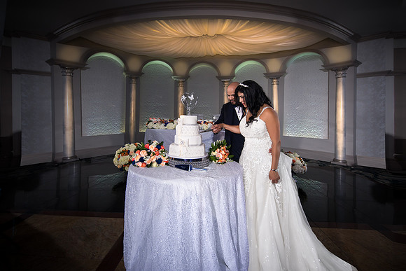 Bronx, New York Wedding Photographer Bride and more Portfolio
